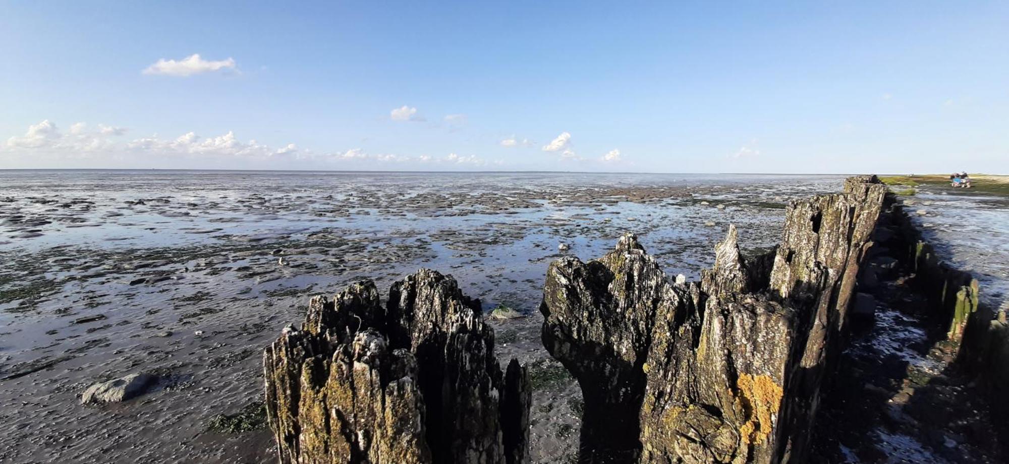 Oosternijkerk Tobornottobヴィラ エクステリア 写真